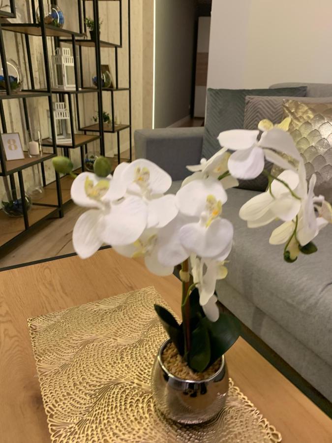 Moderno Apartament Kraków Eksteriør billede