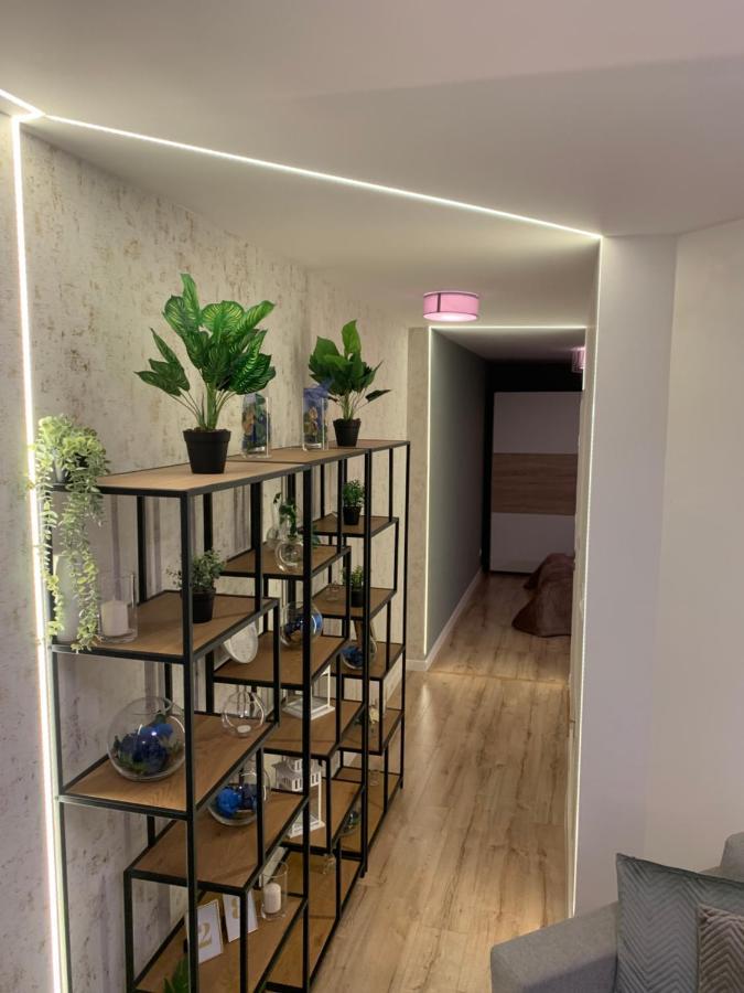 Moderno Apartament Kraków Eksteriør billede